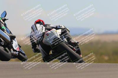 media/Oct-09-2022-SoCal Trackdays (Sun) [[95640aeeb6]]/Turn 9 Backside (120pm)/